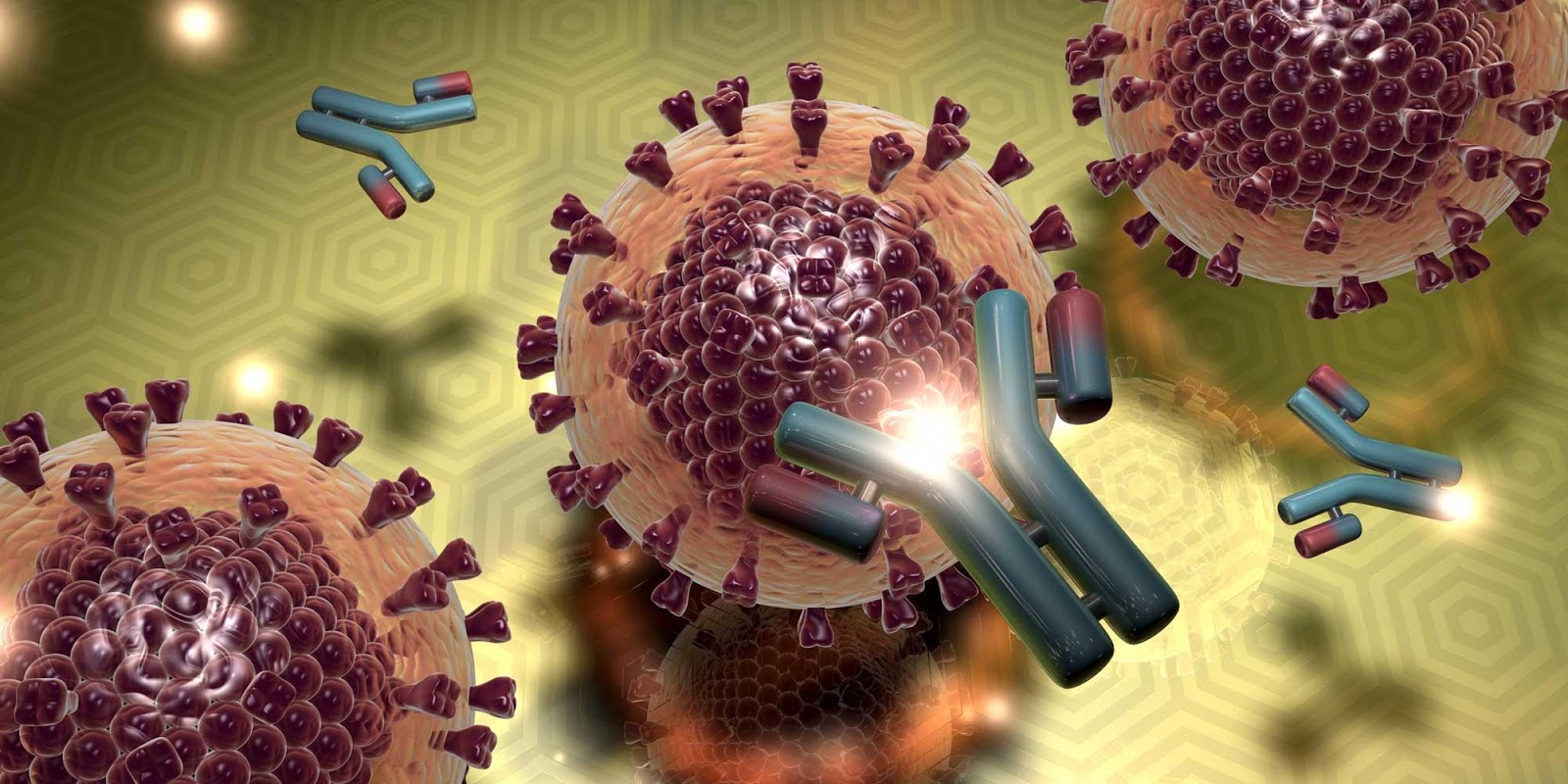 Что происходит в организме человека при заболевании гепатитом С?