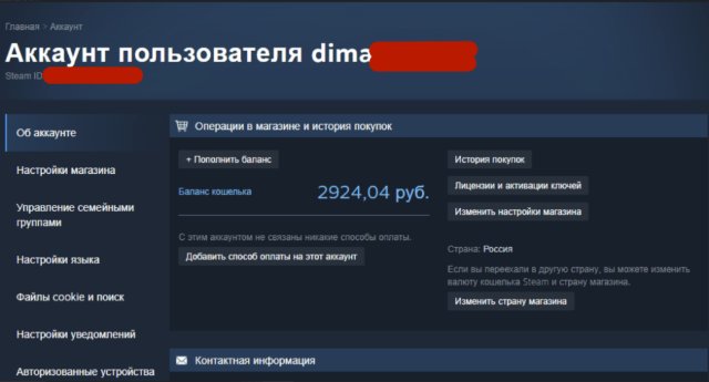 Погружение в нюансы пополнения Steam-кошелька